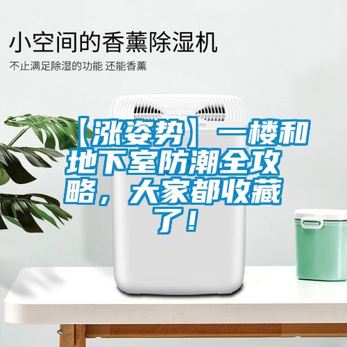 【漲姿勢(shì)】一樓和地下室防潮全攻略，大家都收藏了！