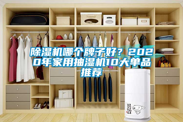 除濕機哪個牌子好？2020年家用抽濕機10大單品推薦