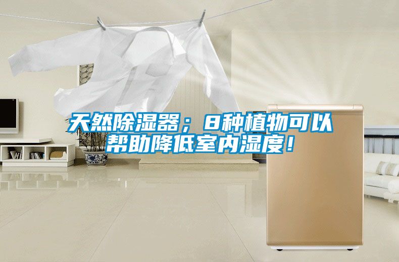 天然除濕器；8種植物可以幫助降低室內(nèi)濕度！