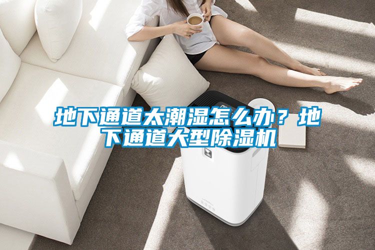 地下通道太潮濕怎么辦？地下通道大型除濕機(jī)