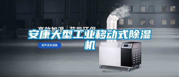 安康大型工業(yè)移動式除濕機(jī)