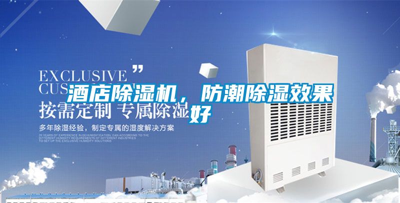 酒店除濕機，防潮除濕效果好