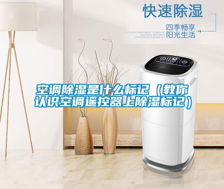 空調(diào)除濕是什么標(biāo)記(教你認(rèn)識空調(diào)遙控器上除濕標(biāo)記)