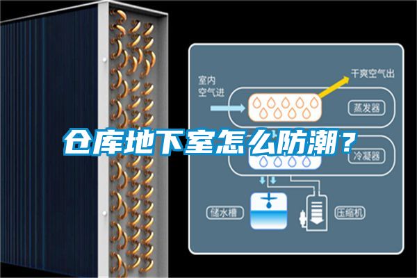 倉(cāng)庫(kù)地下室怎么防潮?