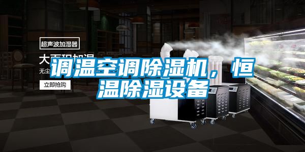 調(diào)溫空調(diào)除濕機(jī),恒溫除濕設(shè)備