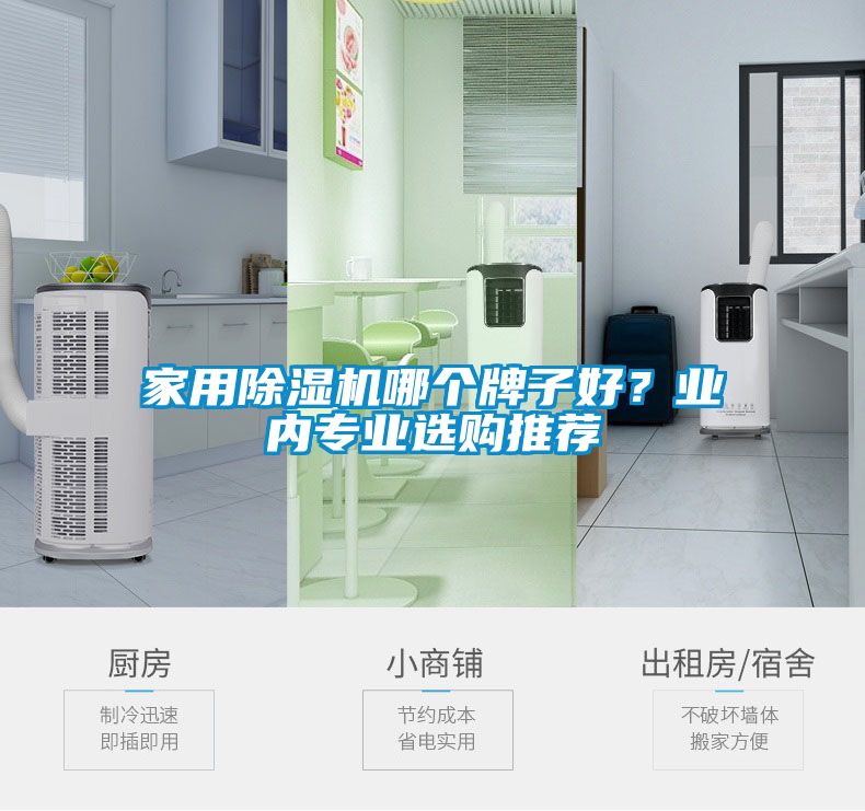 家用除濕機哪個牌子好？業(yè)內(nèi)專業(yè)選購推薦