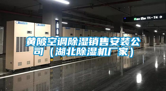 黃陂空調(diào)除濕銷售安裝公司(湖北除濕機(jī)廠家)