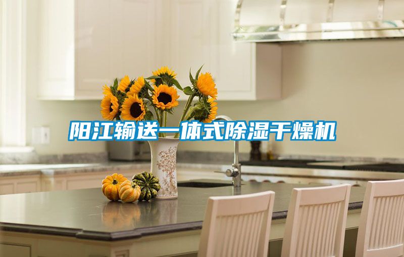 陽江輸送一體式除濕干燥機(jī)