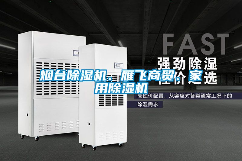 煙臺除濕機(jī)、雁飛商貿(mào)、家用除濕機(jī)