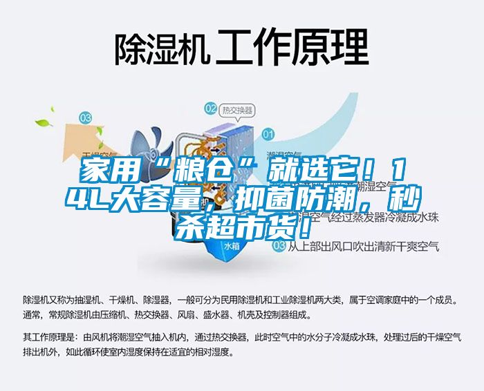 家用“糧倉(cāng)”就選它！14L大容量，抑菌防潮，秒殺超市貨！