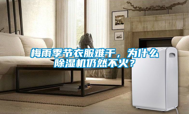 梅雨季節(jié)衣服難干，為什么除濕機(jī)仍然不火？