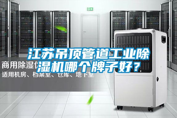 江蘇吊頂管道工業(yè)除濕機(jī)哪個(gè)牌子好?