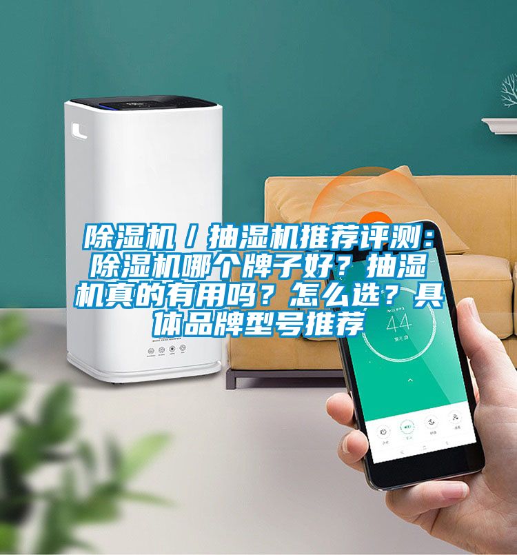 除濕機(jī)／抽濕機(jī)推薦評(píng)測(cè)：除濕機(jī)哪個(gè)牌子好？抽濕機(jī)真的有用嗎？怎么選？具體品牌型號(hào)推薦