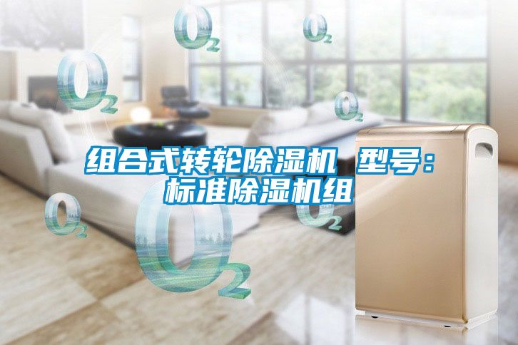 組合式轉(zhuǎn)輪除濕機 型號：標準除濕機組