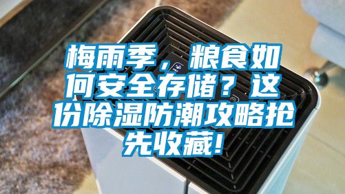 梅雨季，糧食如何安全存儲(chǔ)？這份除濕防潮攻略搶先收藏!