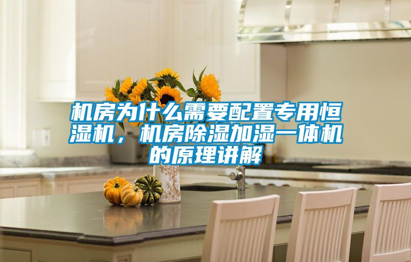 機(jī)房為什么需要配置專用恒濕機(jī)，機(jī)房除濕加濕一體機(jī)的原理講解