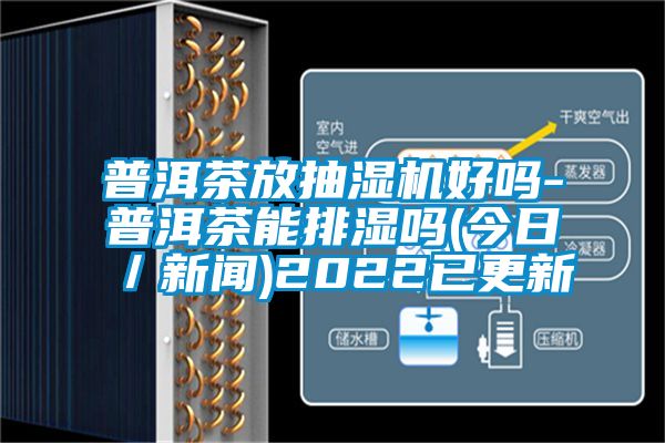 普洱茶放抽濕機(jī)好嗎-普洱茶能排濕嗎(今日/新聞)2022已更新
