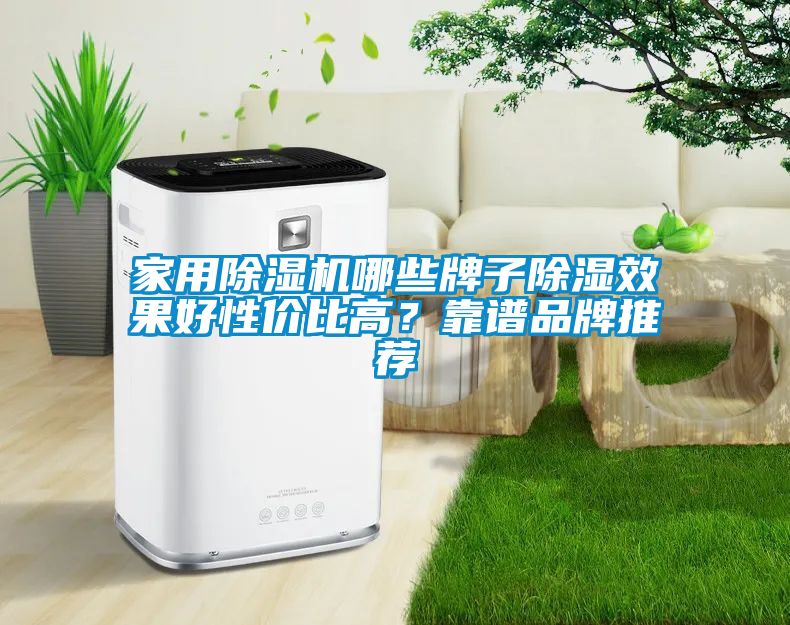 家用除濕機哪些牌子除濕效果好性價比高？靠譜品牌推薦