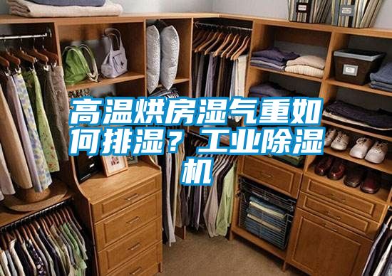 高溫烘房濕氣重如何排濕？工業(yè)除濕機