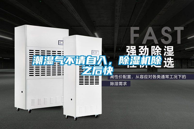 潮濕氣不請自入，除濕機除之后快