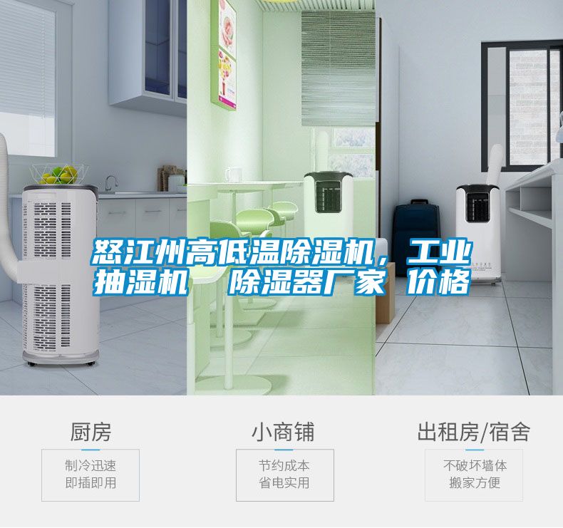 怒江州高低溫除濕機(jī)，工業(yè)抽濕機(jī)  除濕器廠家 價(jià)格