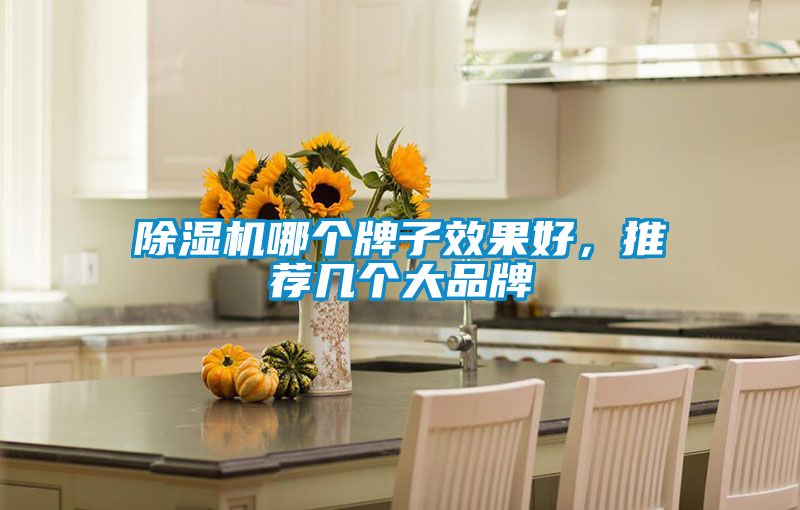 除濕機(jī)哪個(gè)牌子效果好，推薦幾個(gè)大品牌