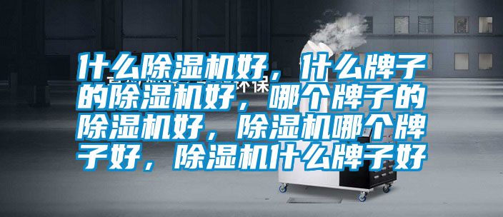 什么除濕機好，什么牌子的除濕機好，哪個牌子的除濕機好，除濕機哪個牌子好，除濕機什么牌子好
