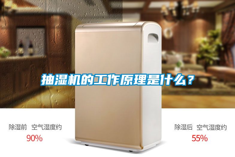 抽濕機(jī)的工作原理是什么？