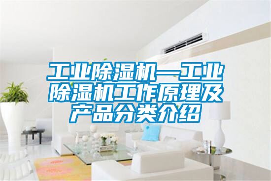 工業(yè)除濕機—工業(yè)除濕機工作原理及產品分類介紹