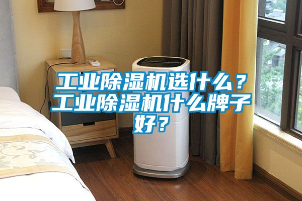 工業(yè)除濕機選什么？工業(yè)除濕機什么牌子好？