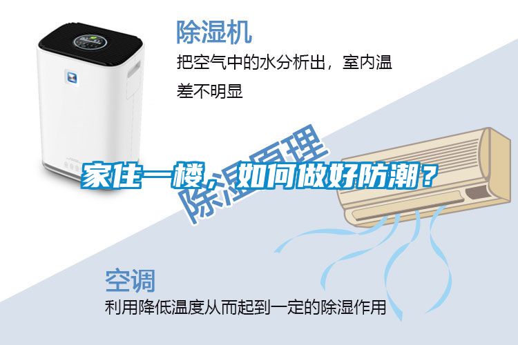 家住一樓，如何做好防潮？