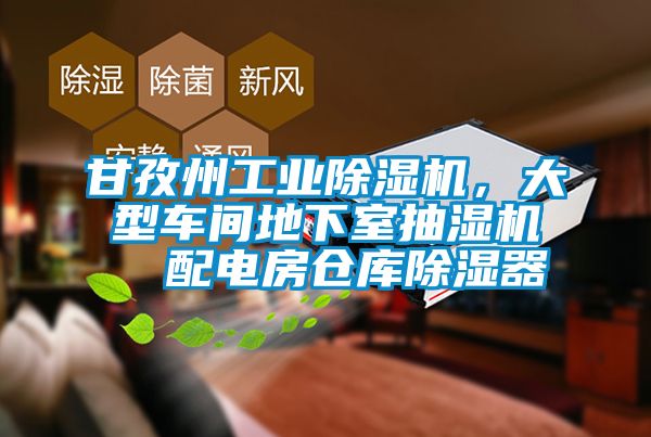 甘孜州工業(yè)除濕機(jī)，大型車間地下室抽濕機(jī)  配電房倉庫除濕器